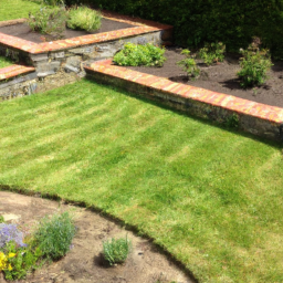 Gazon de Jardin : découvrez les différentes variétés de gazon pour choisir celle qui convient le mieux à votre jardin Drancy